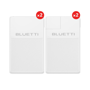 2 x fridgepower 2 x bluecell 200
