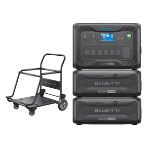 ac300 2xb300k trolley 1x c2ab8e89 e517 4875 9fb3 63d68d44326f