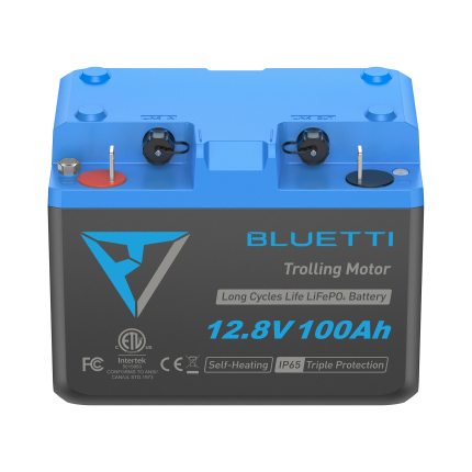 b1210 1x 0d493a3e 25e3 4bc7 8a64 1f68ef27e4a9