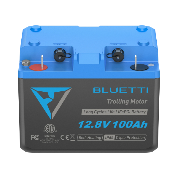 b1210 1x 0d493a3e 25e3 4bc7 8a64 1f68ef27e4a9