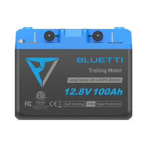 b1210 1x 1fc7f110 b314 4ba9 8523 90ce38590b89