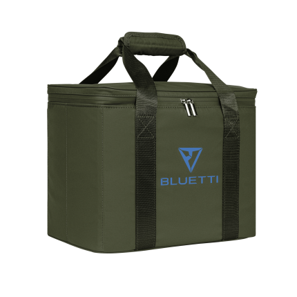 bag 2 1