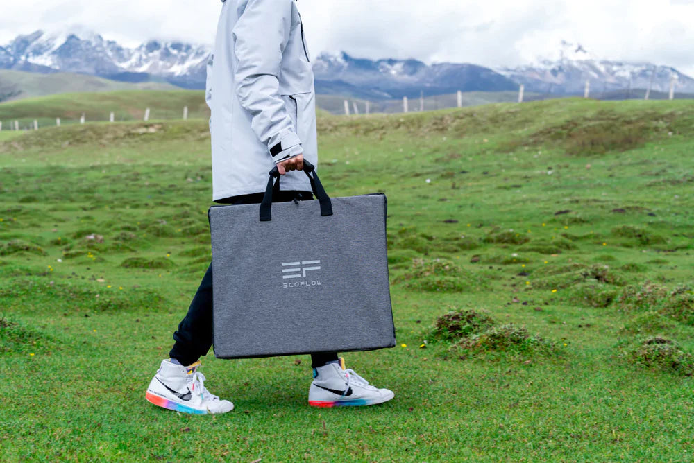 EcoFlow 110W 24V Monocrystalline Portable Solar Panel A person walks on a grassy field with mountains behind, carrying the gray EcoFlow 110W 24V Monocrystalline Portable Solar Panel case—showing its lightweight, portable design. The Ecoflow logo is visible; theyre dressed in a light jacket and colorful sneakers.