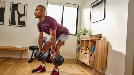 Results Series 552 SelectTech Dumbbells